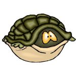 turtle_hypnosis_training_school_fear